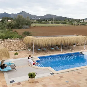 https://villa-mestral-alcudia-mallorca.balearic-islands.net